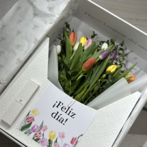 CAJA ARTS & FLOWERS TULIPANES