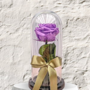 rosa preservada para condolencias, regalo de memoria eterna, cúpula de cristal con rosa morada, detalle de luto duradero