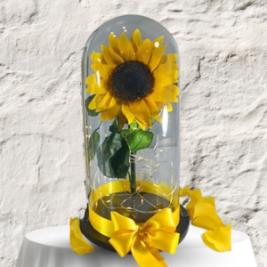 girasol preservado para condolencias, regalo de memoria con luz, cúpula de cristal con girasol y detalle de luto con flores amarillas