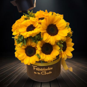 caja de girasoles para graduación, box de felicitación en tu grado, regalo original para graduado y flores de alegría con birrete